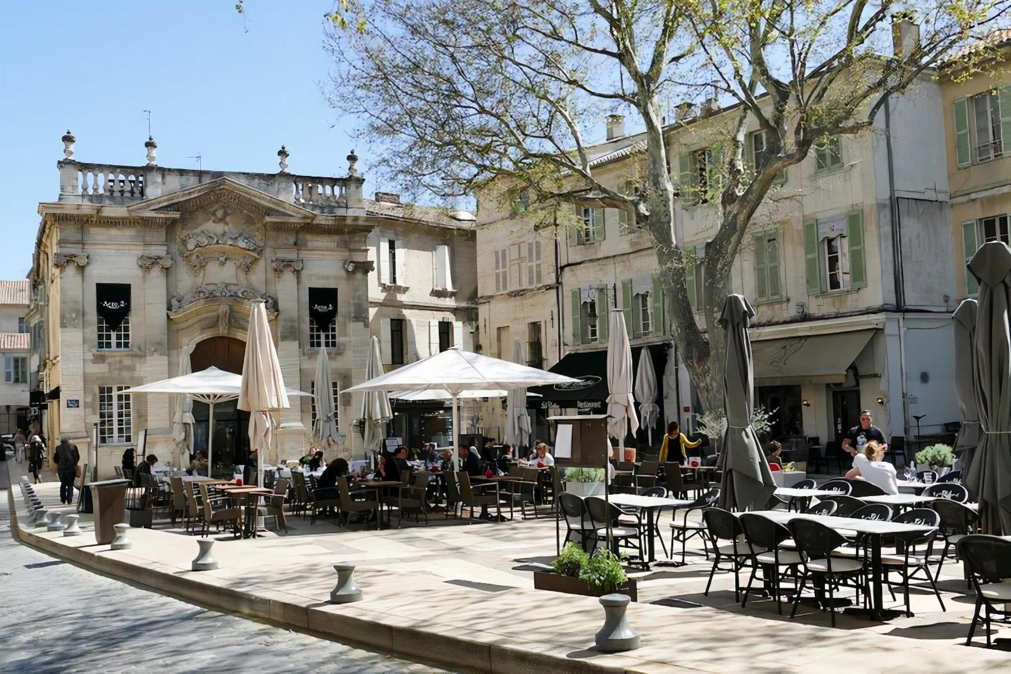 Le Petit Avignon - Chambres & Appartement A Deux Pas Du Pont D'Avignon Et Du Palais Des Papes Εξωτερικό φωτογραφία